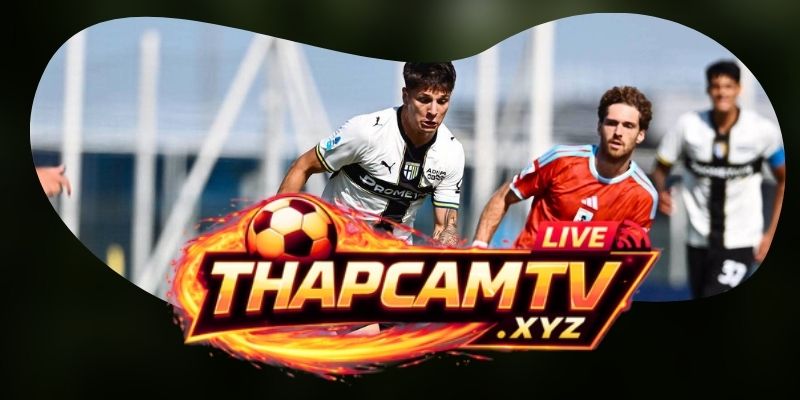 Tổng hợp dự đoán kèo trận Parma vs Torino ngày 20/10
